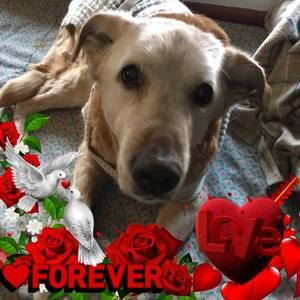 Meet your Posher, Tera